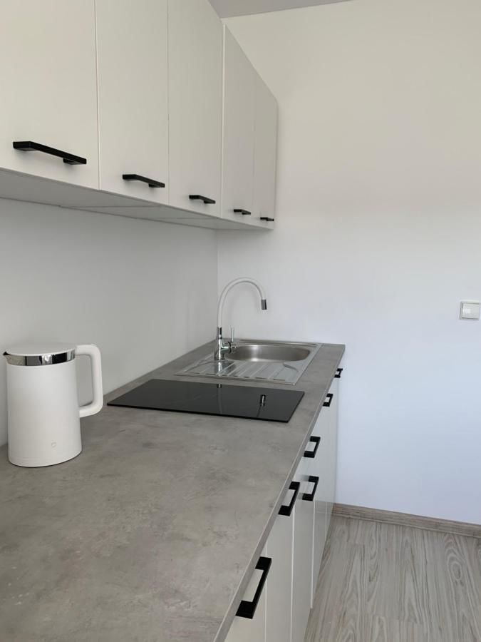 Апартаменты Apartment in Palanga Паланга